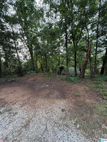 507 GREEN SPRINGS AVENUE, Birmingham, AL 35205