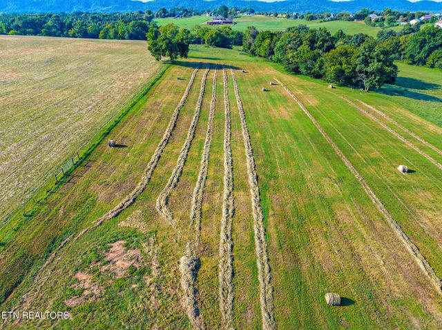 1365 Mine Rd, New Market, TN 37820