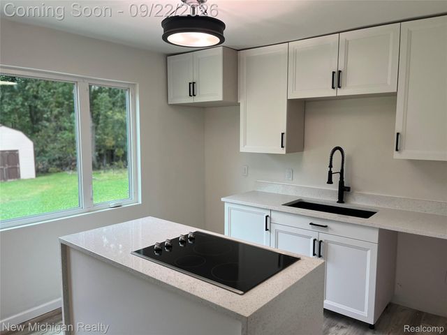 15133 Eddy Lake Road, Holly Township, MI 48430