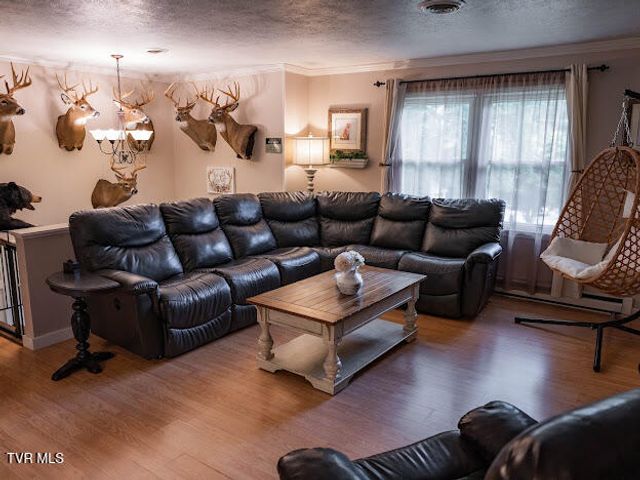 25597 Cornelius Drive, Abingdon, VA 24211