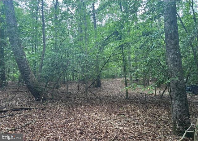 16661 BALD EAGLE SCHOOL RD, Brandywine, MD 20613