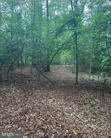 16661 BALD EAGLE SCHOOL RD, Brandywine, MD 20613