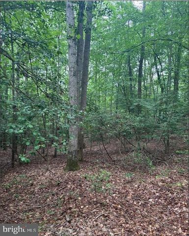 16661 BALD EAGLE SCHOOL RD, Brandywine, MD 20613