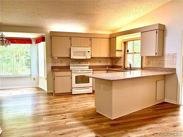 16 Pawpaw Court S, Homosassa, FL 34446