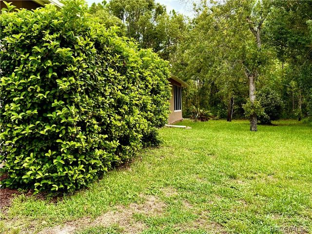 16 Pawpaw Court S, Homosassa, FL 34446