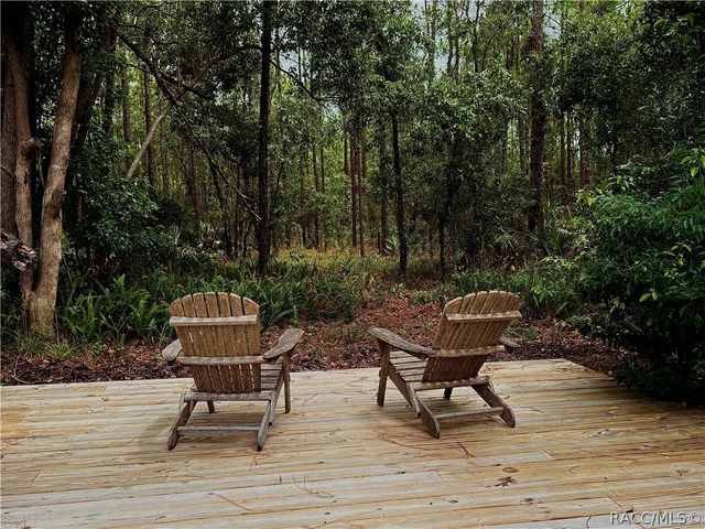 16 Pawpaw Court S, Homosassa, FL 34446