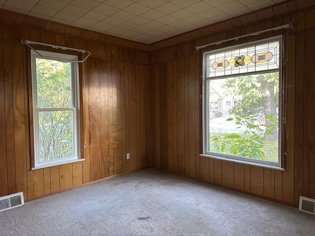 466 14th Street, Red Wing, MN 55066