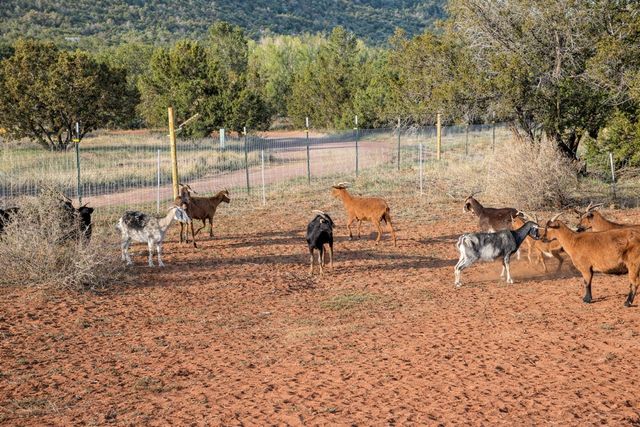 5 Cougar Canyon, Santa Fe, NM 87508