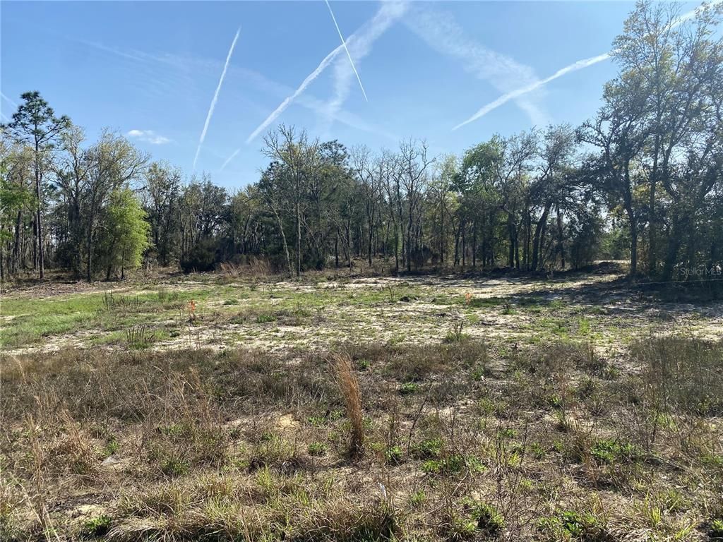 150TH LANE, Williston, FL 32696