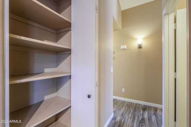 1155 W MACAW Drive, Chandler, AZ 85286