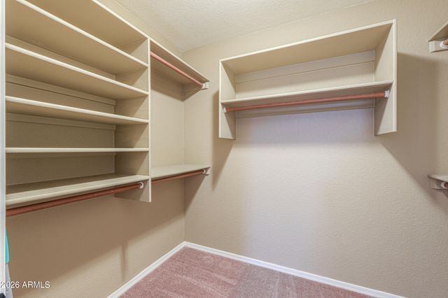 1155 W MACAW Drive, Chandler, AZ 85286