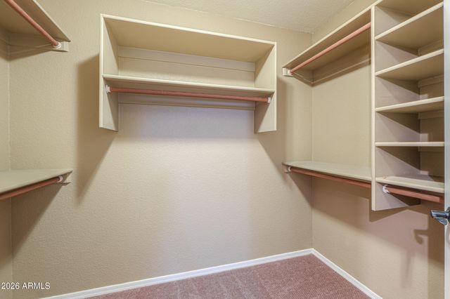 1155 W MACAW Drive, Chandler, AZ 85286