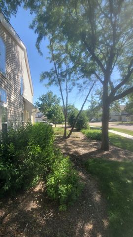 2910 Ashling Court, Schaumburg, IL 60193