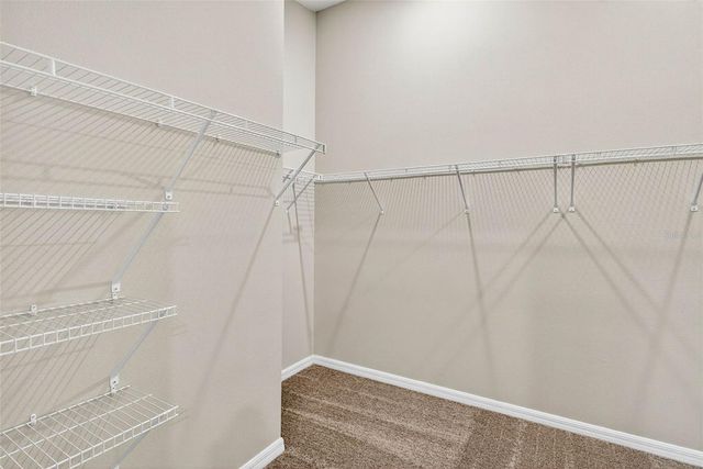 7782 PEACE LILY, Wesley Chapel, FL 33545