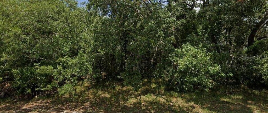 6387 PINEHURST DRIVE, Spring Hill, FL 34606
