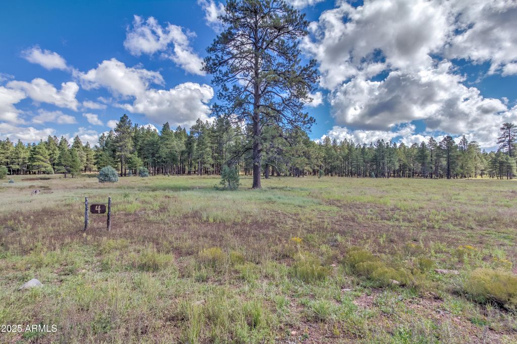 307 E FOXBORO Road 4, Munds Park, AZ 86017