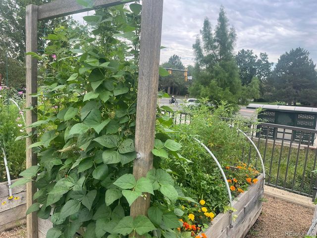 3301 Arapahoe Avenue 209, Boulder, CO 80303