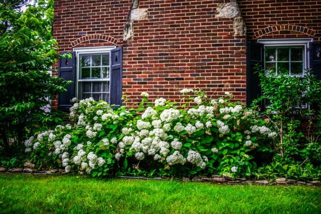 1237 Clover St, Brighton, NY 14610