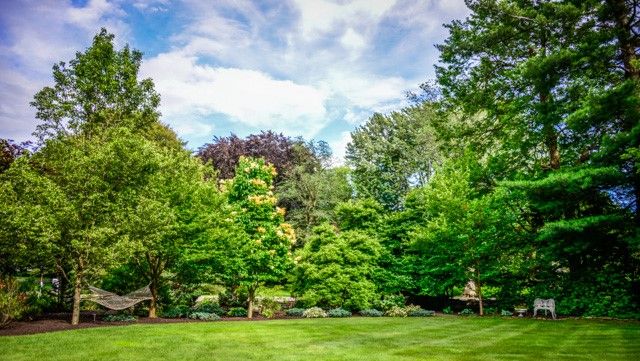 1237 Clover St, Brighton, NY 14610