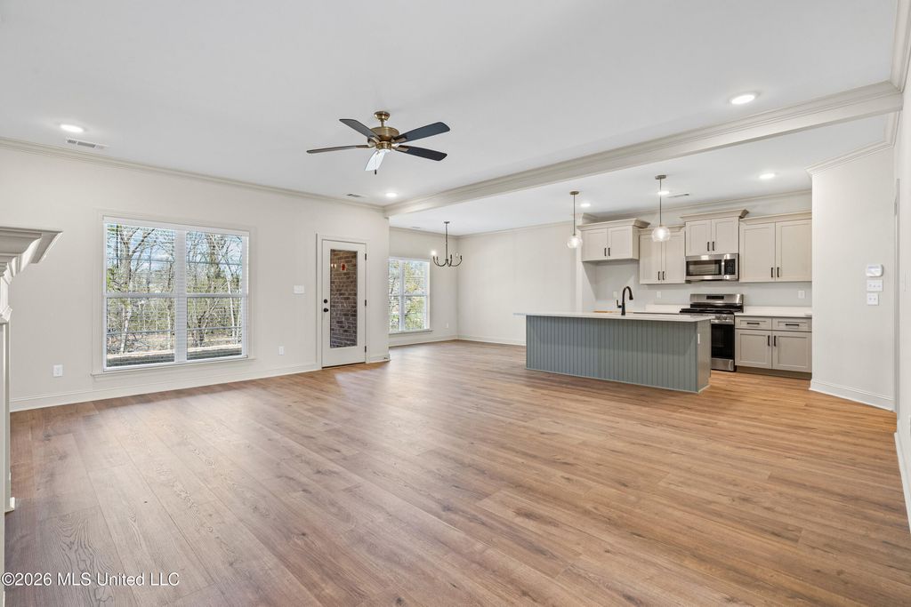 1368 Crk Hvn Drive, Hernando, MS 38632 — photo 5