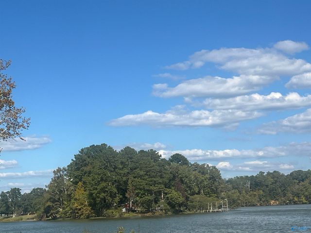 Lot 3, Tract 3 Summer Breeze Drive, Cedar Bluff, AL 35959