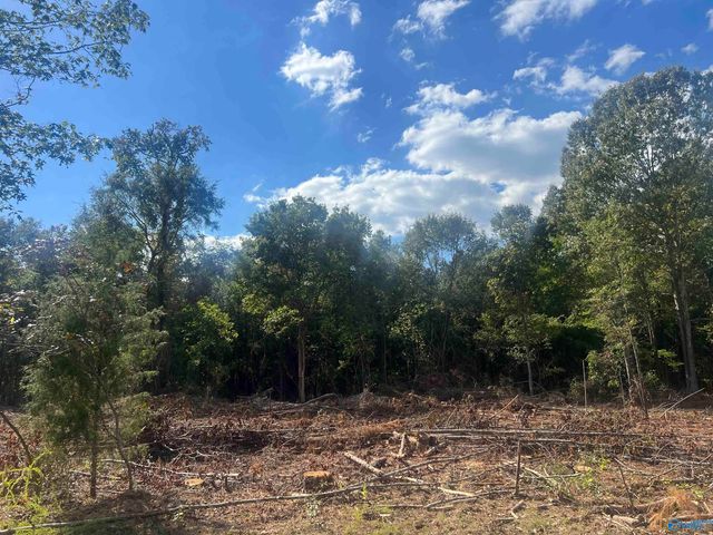 Lot 3, Tract 3 Summer Breeze Drive, Cedar Bluff, AL 35959