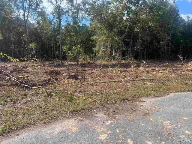 Lot 3, Tract 3 Summer Breeze Drive, Cedar Bluff, AL 35959
