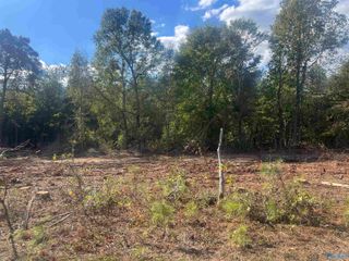 Lot 3, Tract 3 Summer Breeze Drive, Cedar Bluff, AL 35959