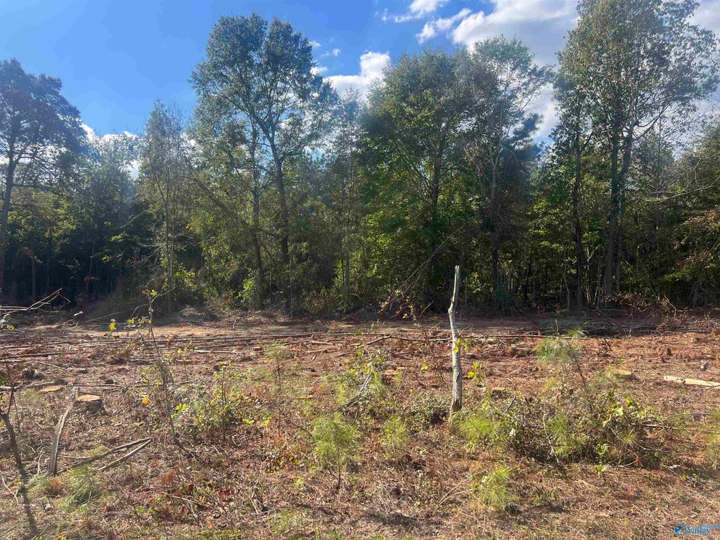 Lot 3, Tract 3 Summer Breeze Drive, Cedar Bluff, AL 35959