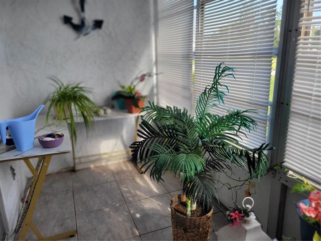 944 MADRID DRIVE, Palm Harbor, FL 34684