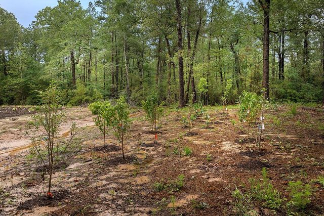 TBD Saratoga Woods Drive, Montgomery, TX 77316