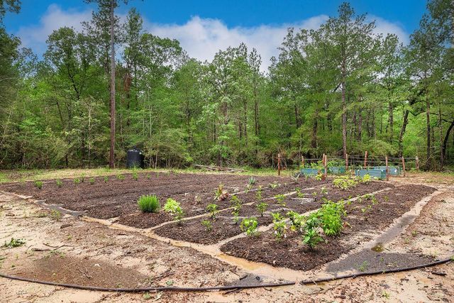 TBD Saratoga Woods Drive, Montgomery, TX 77316