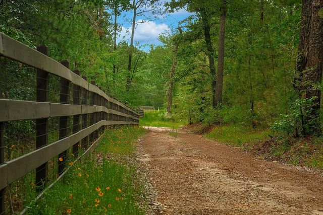 TBD Saratoga Woods Drive, Montgomery, TX 77316