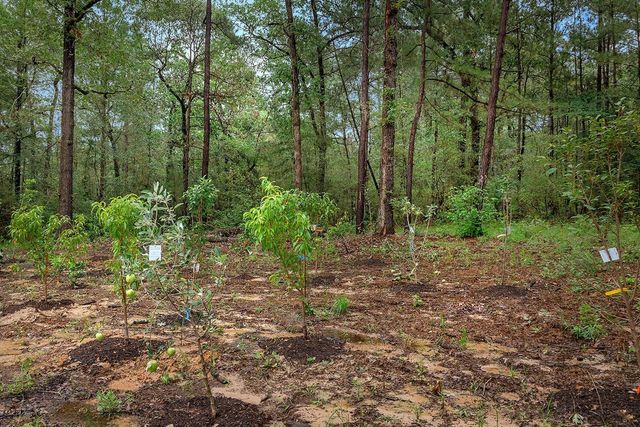 TBD Saratoga Woods Drive, Montgomery, TX 77316