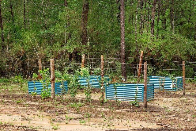 TBD Saratoga Woods Drive, Montgomery, TX 77316