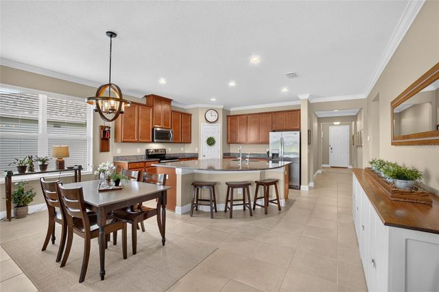 13328 PALMERA VISTA DRIVE, Riverview, FL 33579