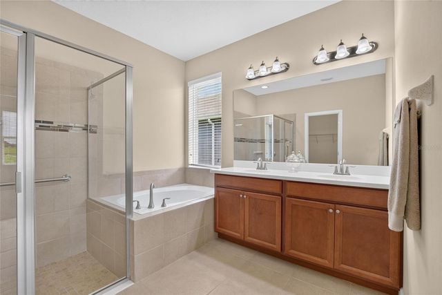 13328 PALMERA VISTA DRIVE, Riverview, FL 33579