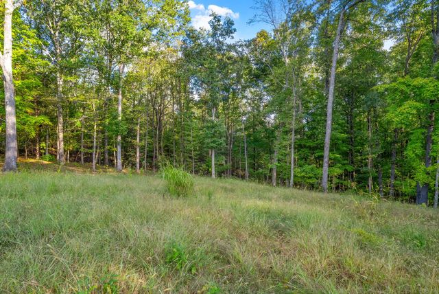 4447 Baggett Hollow Rd, Cunningham, TN 37052