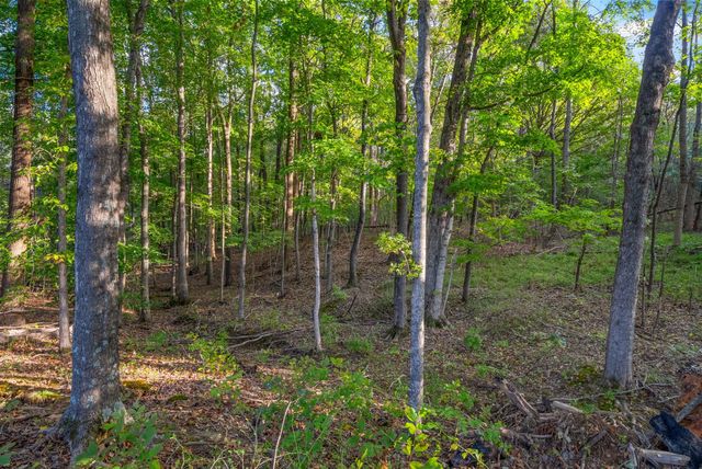 4447 Baggett Hollow Rd, Cunningham, TN 37052