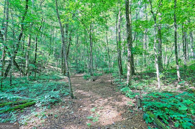 876 WHITETAIL Trail, Clayton, GA 30525