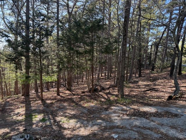 40 E Mountain Drive, Eureka Springs, AR 72632