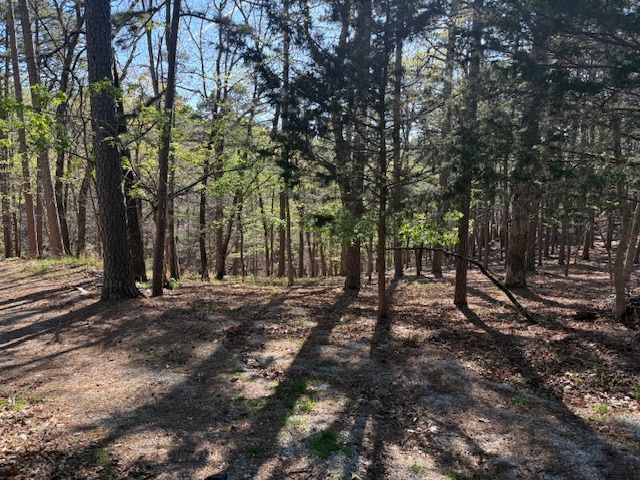 40 E Mountain Drive, Eureka Springs, AR 72632