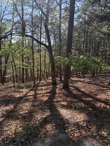 40 E Mountain Drive, Eureka Springs, AR 72632