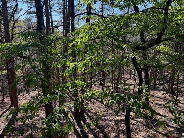 40 E Mountain Drive, Eureka Springs, AR 72632