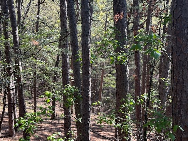 40 E Mountain Drive, Eureka Springs, AR 72632
