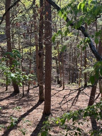 40 E Mountain Drive, Eureka Springs, AR 72632