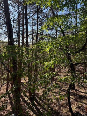 40 E Mountain Drive, Eureka Springs, AR 72632