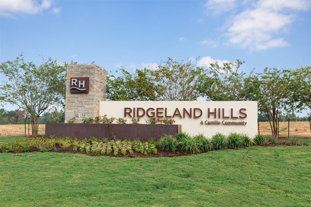 14119 Balcones Fault Court, Willis, TX 77318