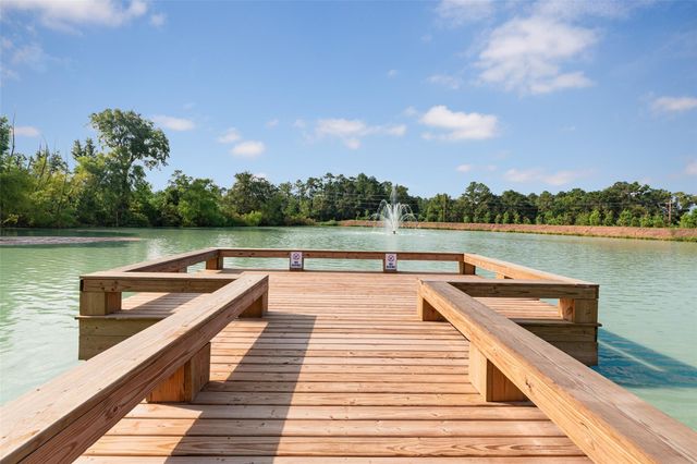 14119 Balcones Fault Court, Willis, TX 77318