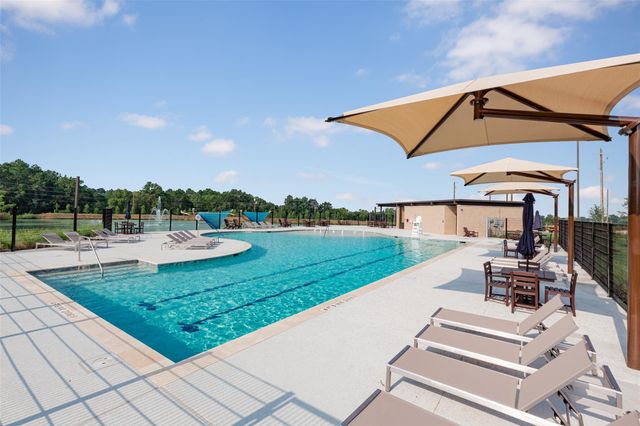 14119 Balcones Fault Court, Willis, TX 77318